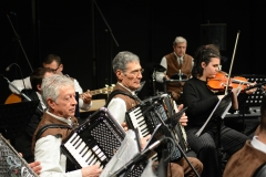 2018GalaGruppo7